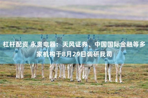 杠杆配资 永贵电器：天风证券、中国国际金融等多家机构于8月29日调研我司