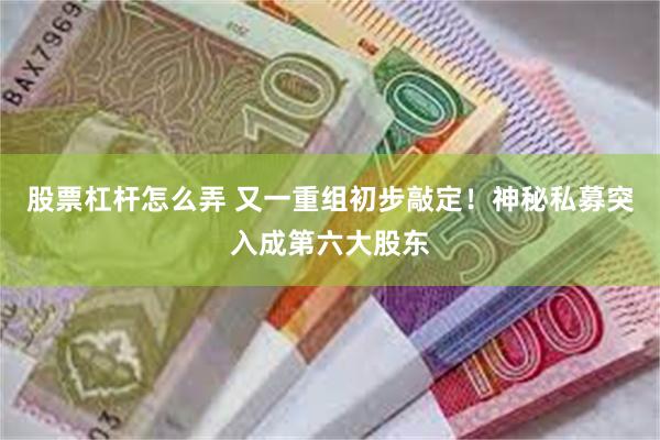 股票杠杆怎么弄 又一重组初步敲定！神秘私募突入成第六大股东