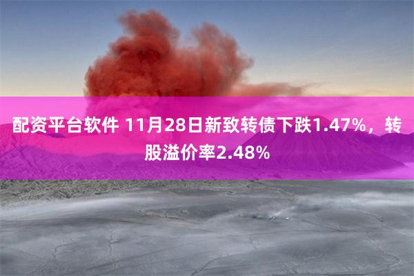 配资平台软件 11月28日新致转债下跌1.47%，转股溢价率2.48%