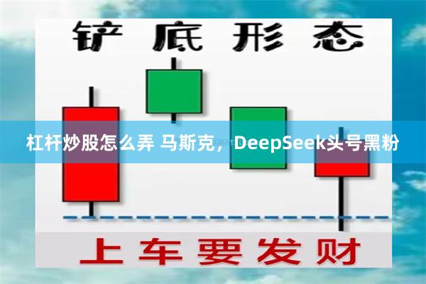 杠杆炒股怎么弄 马斯克，DeepSeek头号黑粉