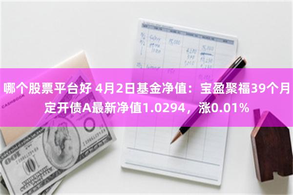哪个股票平台好 4月2日基金净值：宝盈聚福39个月定开债A最新净值1.0294，涨0.01%