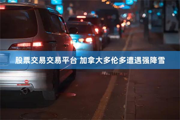 股票交易交易平台 加拿大多伦多遭遇强降雪