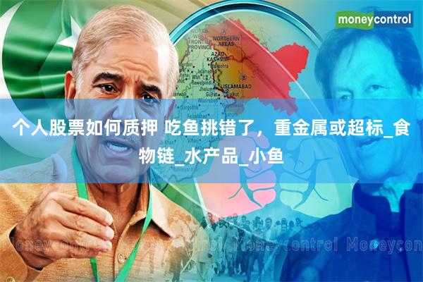 个人股票如何质押 吃鱼挑错了，重金属或超标_食物链_水产品_小鱼