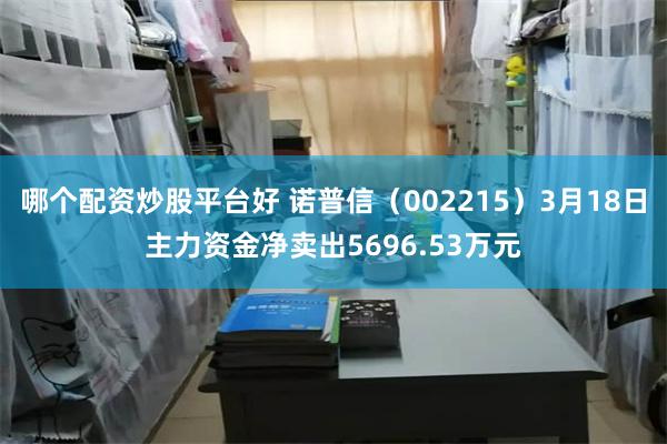 哪个配资炒股平台好 诺普信（002215）3月18日主力资金净卖出5696.53万元