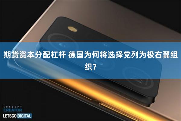 期货资本分配杠杆 德国为何将选择党列为极右翼组织？