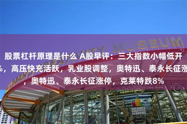 股票杠杆原理是什么 A股早评：三大指数小幅低开，沪指低开0.16%，高压快充活跃，乳业股调整，奥特迅、泰永长征涨停，克莱特跌8%