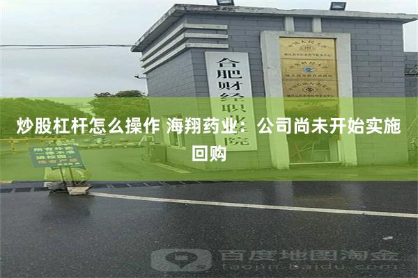 炒股杠杆怎么操作 海翔药业：公司尚未开始实施回购