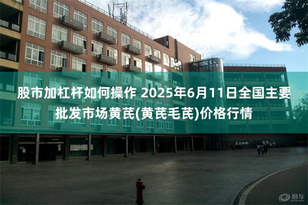 股市加杠杆如何操作 2025年6月11日全国主要批发市场黄芪(黄芪毛芪)价格行情