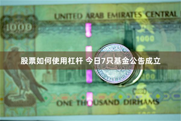 股票如何使用杠杆 今日7只基金公告成立