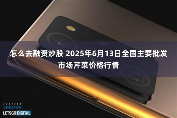 怎么去融资炒股 2025年6月13日全国主要批发市场芹菜价格行情