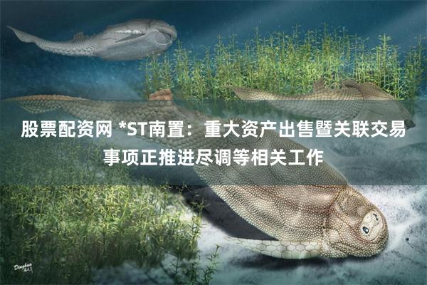 股票配资网 *ST南置：重大资产出售暨关联交易事项正推进尽调等相关工作